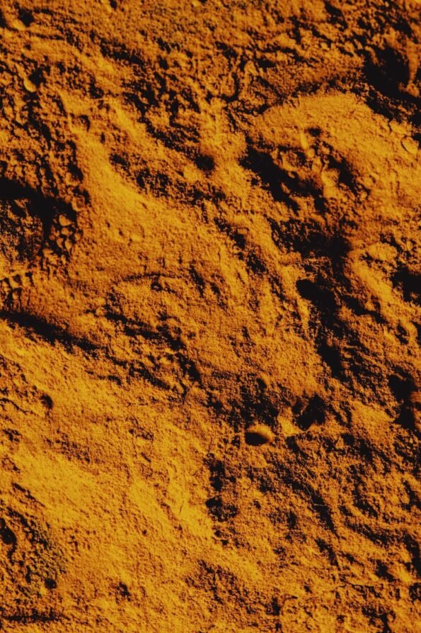 Turmeric